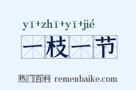 一枝一节是什么意思的图片